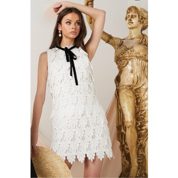 ELLIATT Harmonia Lace High Neck Cocktail Sleeveless Mini Dress Size Large New - Picture 4 of 10